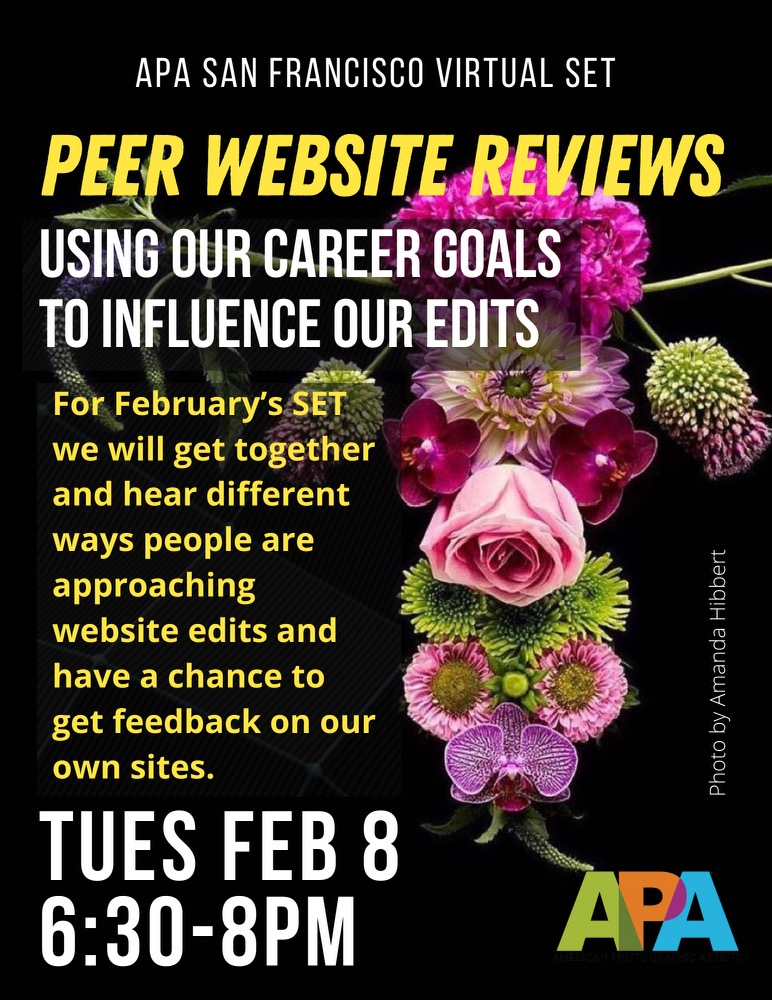 APA San Francisco Virtual SET Peer Website Reviews Events APA San