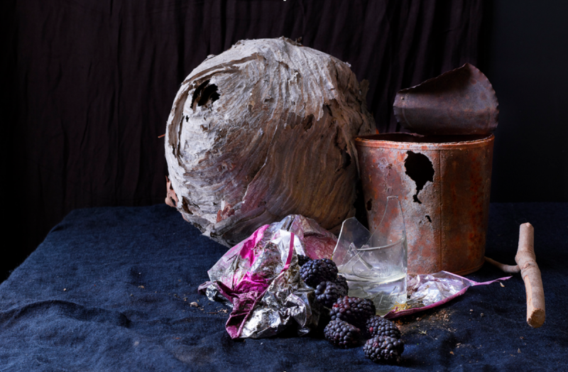 Laure Frankel's still lifes